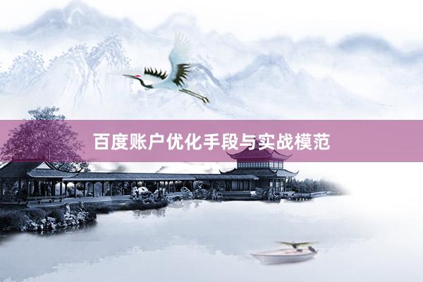 百度账户优化手段与实战模范